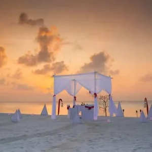 Romance – Bouquet of Flowers